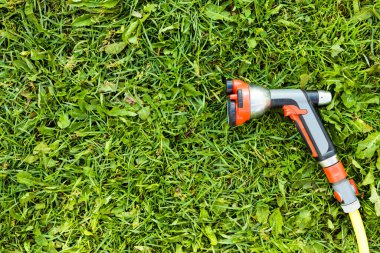 Bahçe hortumunu yeşil bir çimenlikte sulamak