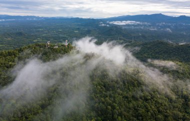 Ulusal parkta yağmur ormanı. Güzel bir sonbahar gününde, sabah sisinde kaplanmış renkli, karışık bir orman.