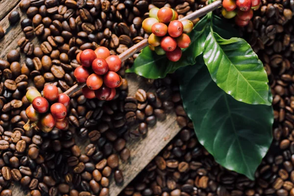 Granos Café Sobre Hojas Verdes Sobre Fondo Madera Granos Café — Foto de Stock