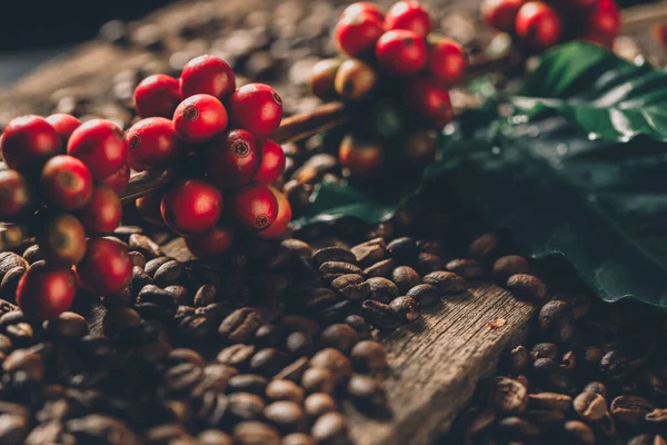 Biji Kopi Pada Daun Kopi Hijau Pada Latar Belakang Kayu — Stok Foto