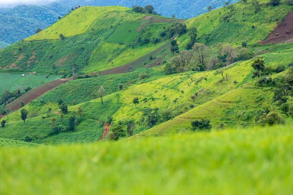 Vista Montaña Desde Doi Maetho Chaimg Mai Thailand —  Fotos de Stock