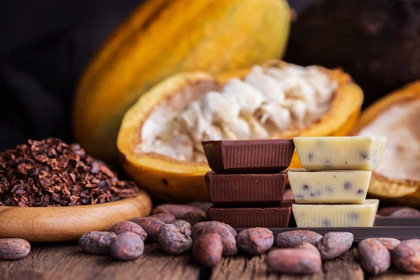 Cocoa Pods Beans Powder Wooden Table Top View — Φωτογραφία Αρχείου