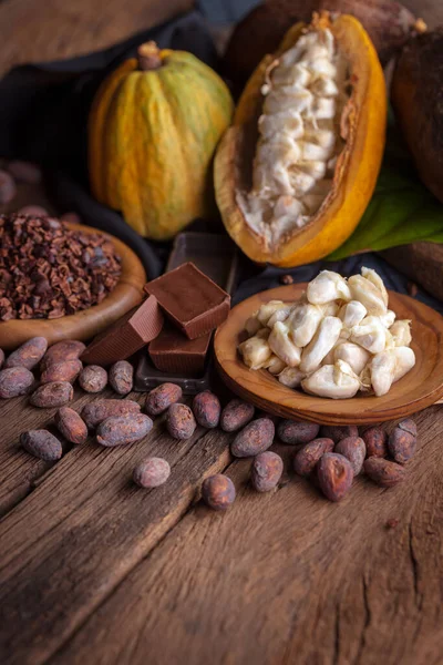 Cocoa Pods Beans Powder Wooden Table Top View — Φωτογραφία Αρχείου