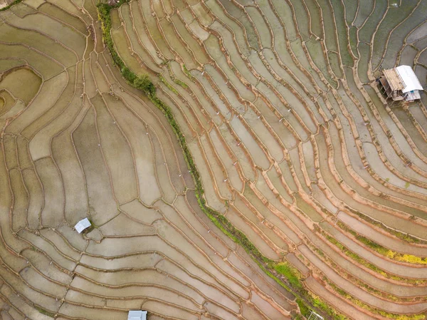 Risfält Vid Mae Cham Chiangmai Norra Thailand — Stockfoto