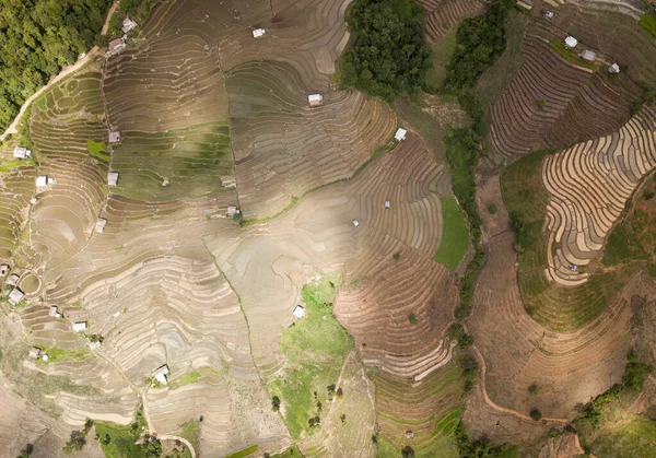 チャム チェンマイの田んぼ Northern Thailand — ストック写真