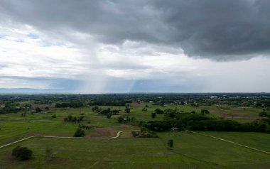Ulusal parktaki Top View Yağmur Ormanı. Güzel bir sonbahar gününde, sabah sisinde kaplanmış renkli, karışık bir orman.