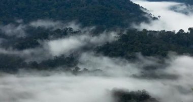 Ormanın zaman çizelgesi ve dünyanın en eski tropikal yağmur ormanlarının bulutları, 130 milyon yıllık. Malezya Ulusal Parkı, Taman Negara, Bukit Terisek Tepesi manzaralı.