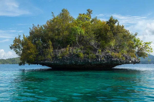 Petite Île Tropicale Altérée Par Eau Mer Couverte Une Végétation — Photo
