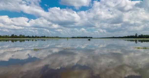 Timelapse Landscape Clouds Reflected Water Lake Surrounding Buddhist Neak Pean — Stock Video