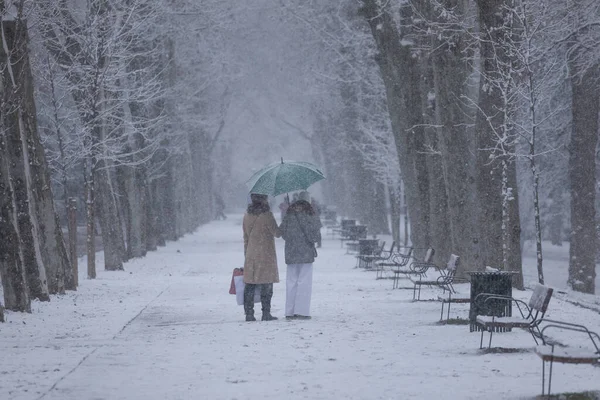スペイン マドリード 2021年1月7日 極寒波の影響で雪の日の半ば マドリードのブエン レティロ公園を散歩する人々 — ストック写真