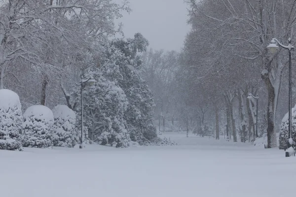 Madrid Spain January 2021 Buen Retiro Public Park Covered Snow — Stock Photo, Image