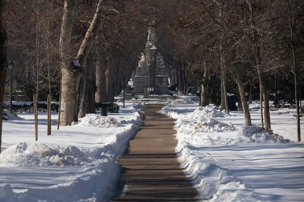 Madrid España Enero 2021 Camino Sin Nieve Dentro Del Parque — Foto de Stock