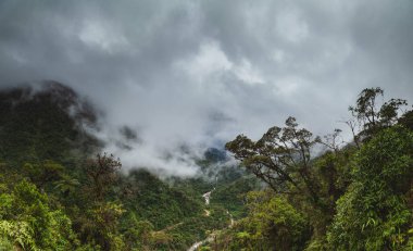 Peru 'daki Bulut Ormanı, And Dağları' nın kuzeydoğusundaki tropikal ormanın panoramik manzarası..
