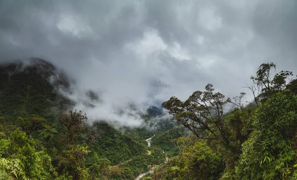 Felhőerdő Peruban Panorámás Kilátás Trópusi Dzsungelre Andok Hegység Északkeleti Lejtőjén — Stock Fotó
