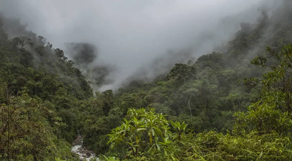 Felhőerdő Peruban Panorámás Kilátás Trópusi Dzsungelre Andok Hegység Északkeleti Lejtőjén — Stock Fotó