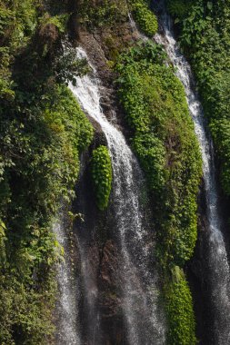 Doğu Java, Endonezya 'daki Tumpak Sewu Şelalesi' ndeki taze, gürültülü ve yoğun suyun yakın görüntüsü.