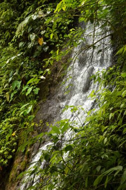 Doğu Java, Endonezya 'daki Tumpak Sewu Şelalesi' ndeki taze, gürültülü ve yoğun suyun yakın görüntüsü.