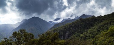 Peru 'daki Amazon Bulut Ormanı And Dağları' nın kuzeydoğu yamacındaki tropikal ormanın panoramik manzarası. Güney Amerika 'da manzara.
