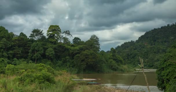 Krajobraz Timelapse Rzeki Tembeling Otaczającej Dżungli Burzliwy Dzień Malezyjskim Parku — Wideo stockowe