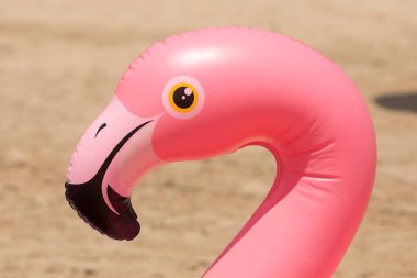 İspanya 'nın Castellon Eyaleti, Akdeniz, Torrenostra sahilinde, pembe flamingo şeklinde güzel bir plastik şamandıra bulunur..