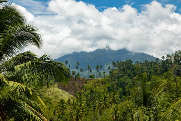 Klabat Volcano Hidden Clouds Background Tropical Landscape Palm Trees Green — Stock Photo, Image