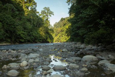 Gunung Leuser Ulusal Parkı, Kuzey Sumatra, Endonezya 'daki tatlı su akıntısı ve çevresindeki tropikal ormanlarıyla Bohorok Nehri.