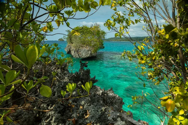 Photographie Paysage Marin Naturel Des Eaux Turquoise Entourant Les Îles — Photo