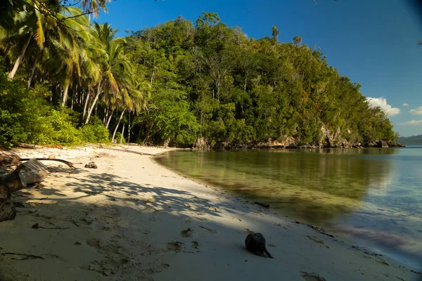 Paysage Forêt Tropicale Cocotiers Coucher Soleil Barracuda Beach Île Pulau — Photo