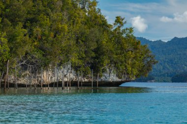 Doğal deniz manzarası ve yoğun tropikal orman Gam Adası, Raja Ampat, Batı Papua, Endonezya yakınlarındaki küçük kaya adalarında yetişiyor.