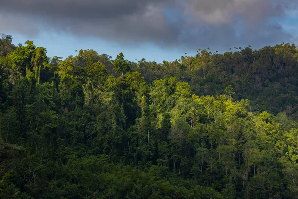 Naplemente Fények Csúszik Felhők Megvilágítja Esőerdők Növekvő Gam Island Raja — Stock Fotó