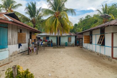 Yenbeser, Endonezya - 14 Ekim 2019: Mütevazı evler ve hindistan cevizli büyük bir palmiye ağacı, Yenbeser, Gam Adası, Raja Ampat