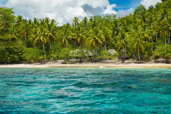 Plage Sable Blanc Corail Entourée Palmiers Verts Tropicaux Eaux Bleu — Photo