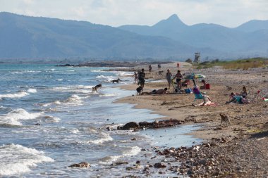 Torreblanca, İspanya - 16 Temmuz 2020: İnsanlar Prat de Cabanes Doğal Parkı 'ndaki Torreblanca kasabası yakınlarında köpekleriyle plajın keyfini çıkarıyorlar