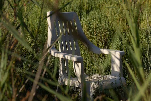 A white plastic chair, abandoned, among the reed beds and wetlands of the Prat de Cabanes Natural Park, Torreblanca, Castellon, Spain