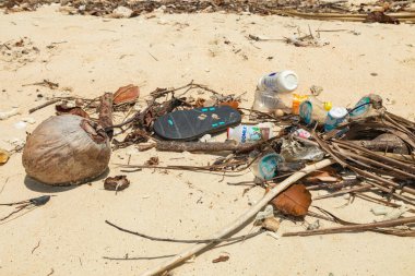 Beşir bölgesi, Endonezya - 10 Ekim 2019: Plastik, çöp ve şişeler Gam, Raja Ampat, Endonezya 'da bir plajda karaya vurdu
