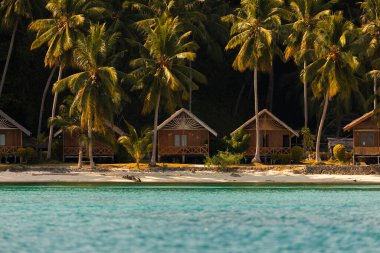 Togian Adaları, Sulawesi, Endonezya 'da beyaz bir kumsal, turkuaz suları ve yüksek hindistan cevizi palmiyelerine bakan bungalovlar.