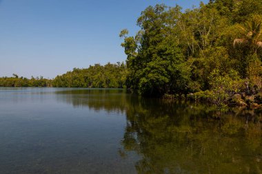 Togian takımadalarında bir ada olan Pulau Taupan 'da bir tatlı su gölü üzerindeki orman ve orman manzarası, Sulawesi, Endonezya