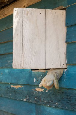 Togian Adaları, Sulawesi, Endonezya 'da mütevazı bir evde tahta bir pencereden sarkan bir oyuncak ayı..