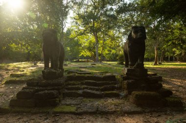 Angkor, Kamboçya 'daki Ta Tuot Tapınağı yakınlarındaki yürüyüş yollarından birinde eski fil heykelleri zamanla yıprandı.