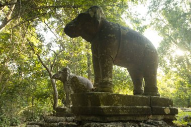 Ta Tuot Tapınağı, Angkor, Kamboçya yakınlarındaki yürüyüş yollarından birinde, zaman tarafından yıpranmış eski fil heykelleri.