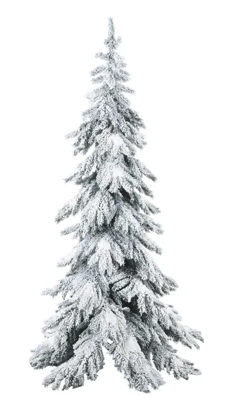 Noel çam karla kaplı