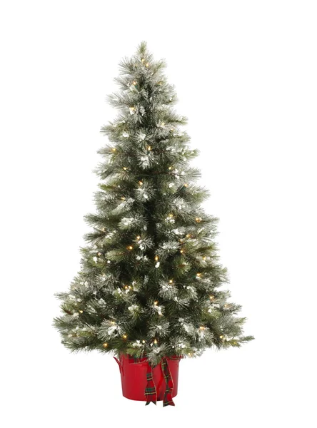 Vánoční strom s mnohobarevným osvětlením — Stock fotografie