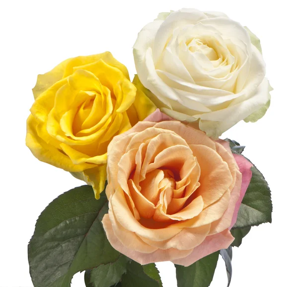 Bouquet di Rosese — Foto Stock