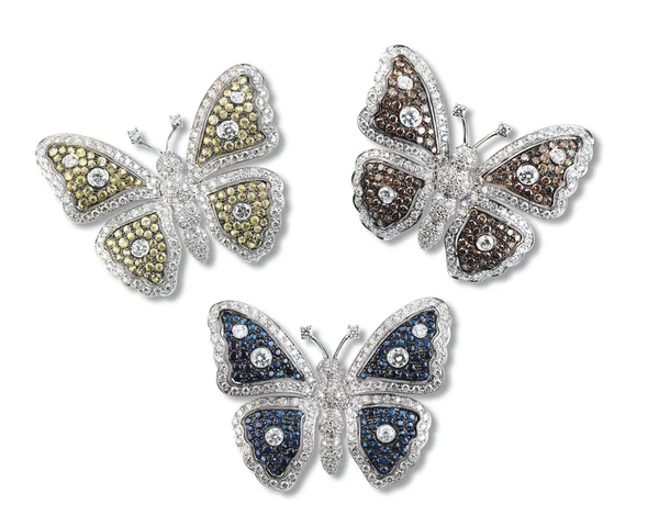 Butterfly brosch Royaltyfria Stockfoton