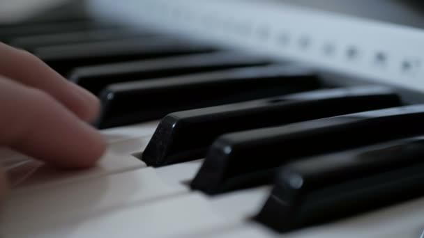 Professional musician playing the piano during a concert. — Stock Video