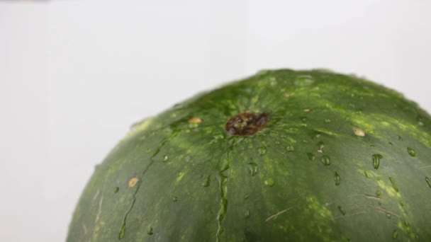 Wassertropfen fließen die Schale einer saftigen Wassermelone hinunter. Frische saftige gestreifte Wassermelone in Nahaufnahme. — Stockvideo