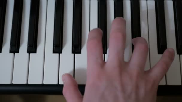 Close-up of the hands of a professional musician who plays the synthesizer during a concert. — Stock Video