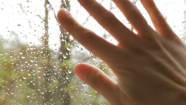 Close-up of the hand of a young woman she waves her hand saying goodbye to her loved one while standing by the window. A young woman standing in front of the window waves her hand after her beloved — Stock Video