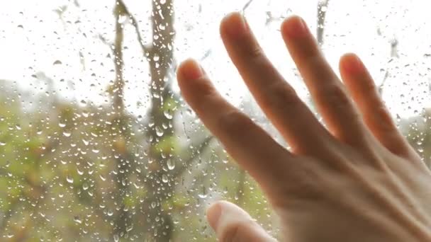 Una joven mujer de pie frente a la ventana agita la mano después de su amado novio. Acercamiento de la mano de una mujer joven le dice adiós a su ser querido mientras está de pie junto a la — Vídeos de Stock