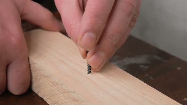 Un artesano profesional conduce un tornillo en un bloque de madera con un destornillador.Primer plano de una mano de constructores profesionales mientras conduce un tornillo en una viga de madera con un destornillador. — Vídeo de stock